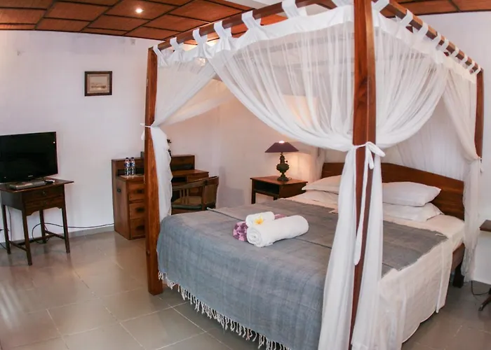 Kolonial House 4*